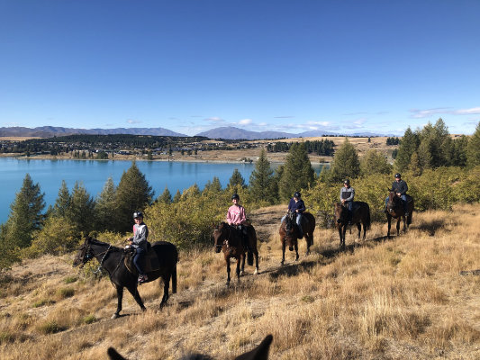 Mackenzie Alpine Horse Trekking