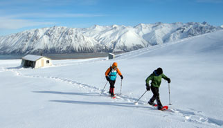 Snowshoeing with Alpine Recreation