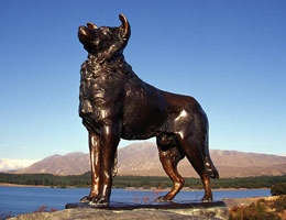 Statue of the working dog on the lake shore