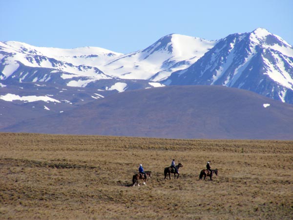 Multi day trek with Mackenzie Alpine Horse Trekking