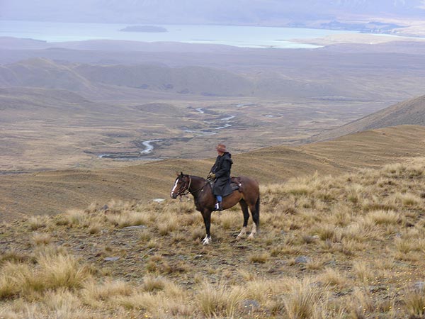 Multiday treks with Mackenzie Alpine Horse Trekking